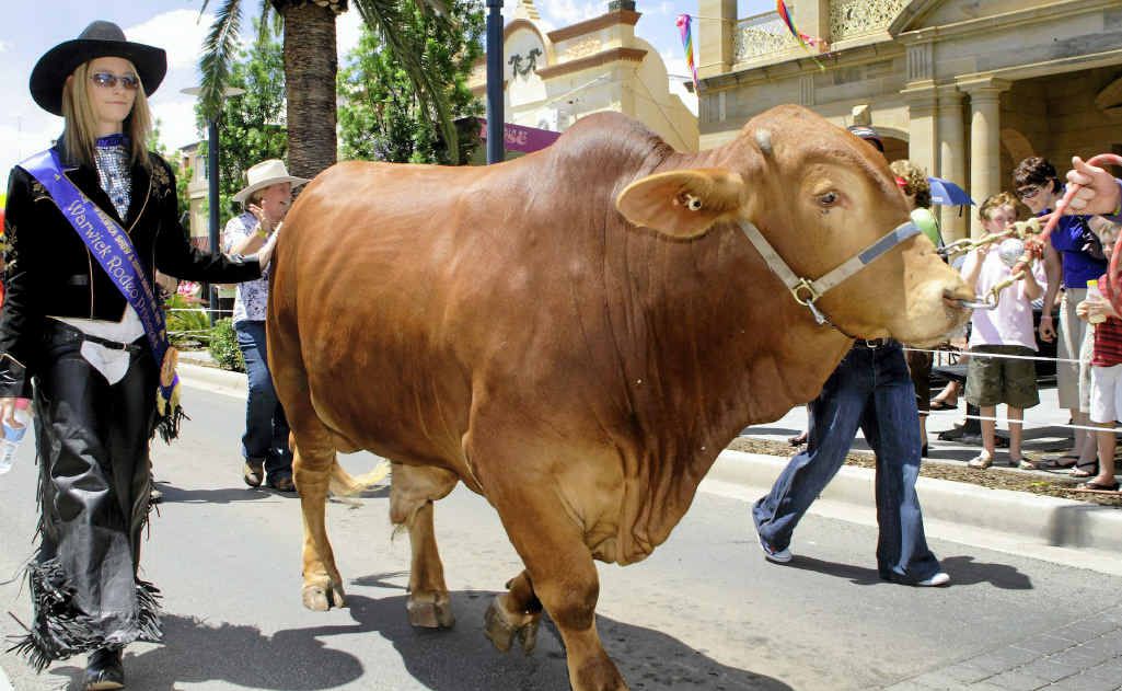 You never know who and what you see wondering down the street at Mardi Gras time.